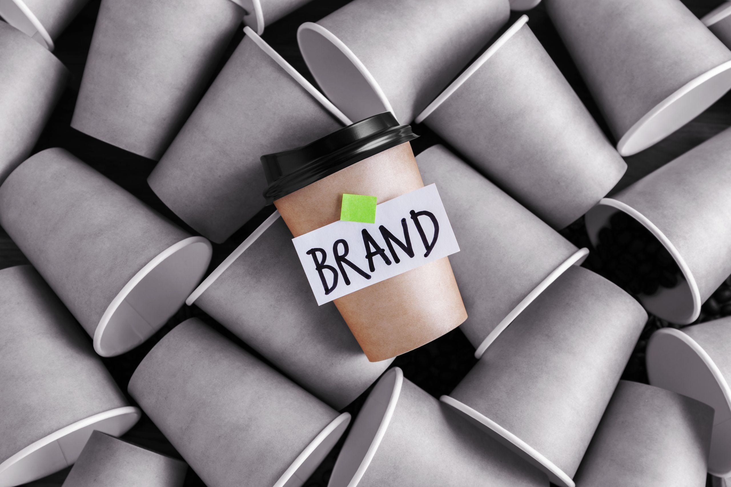 Branding 2023